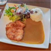 Chicken Katsu Curry Rice Dish